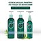 Освежающий шампунь с  маслом чайного дерева и розмарином Hask Tea Tree Oil & Rosemary Invigorating Shampoo 355 мл 2576 - фото 6341